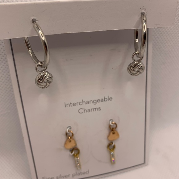 Gold and Silver Interchangeable Earrings Set with Charms - Picture 7 of 8